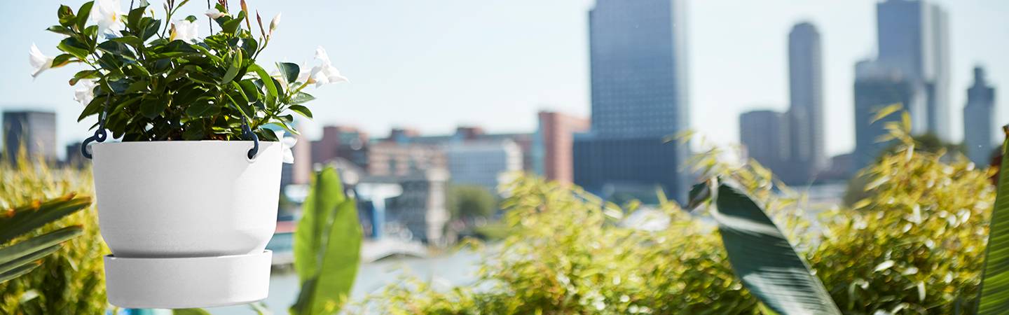 greenville hanging basket 24cm vintage circuela